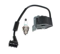 OUZHOULGPS Bobine d'allumage Compatible avec T231XB T260 T261 T261B M230 M231 F230 T-250 C-250 C230 F21 T230 T230X T230XR T231 C230PT P230S Partie