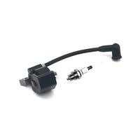 OUZHOULGPS Bobine d'allumage et Bougie for BM6A PS2 PS3 PS34 PS36 PS45 DCS34 DCS4610, référence: 036143121, 036143120, 036143020, 136140010 Partie