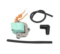 OUZHOULGPS Bobine d'allumage for 9. 15 40 CV 1974-1976 502880 581407 18-5196 Partie