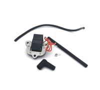 OUZHOULGPS Module de Bobine d'allumage for Moteur 9,9HP, 15HP, 40HP (1974-1976), pièces Rechange n°502880, 581407, 18-5196 Partie
