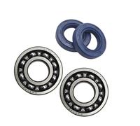 OUZRYWSDP Jardin Kit de Joints d'huile de palier de Vilebrequin for tronçonneuses MS250, MS230, MS210, 025, 023 et 021. Pièce de Rechange d'origine (OEM) : 96380031581, 95030030340. Outils de Jardin.