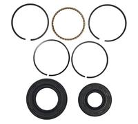 OUZRYWSDP Jardin Kit de Segments de Piston 39 mm, Joint d'huile de Vilebrequin et Ensemble de Joints SPI for Moteur 4 Temps GX35 (pièce détachée)