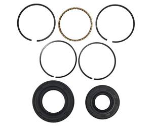 OUZRYWSDP Jardin Kit de Segments de Piston 39 mm, Joint d'huile de Vilebrequin et Ensemble de Joints SPI for Moteur 4 Temps GX35 (pièce détachée)