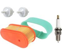 Oval Air Filter Cartridge Compatible with Briggs & Stratton Engines 795066,796254,5419 DOV 700