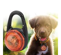 OVAQUIXI Collier LED pour Chien avec Lumière ABS à Clipser, Collier de sécurité pour Animaux de Compagnie, 2 Modes de Clignotement, Pendentif étanche avec Batterie Incluse pour la Promenade Nocturne