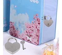 OVAQUIXI Serrure en Forme de Cœur, Cadenas Vintage en Métal avec esign Unique, Parfait pour Boîte à Bijoux et Agenda, Petite Taille pour Enfants et Amis (Laksa)