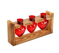 OVAQUIXI Station de Propagation en Forme de Cœur Vases en Verre en Forme de Cœur Propagation des Plantes avec Support en Bois 3 Récipients en Verre Borosilicate