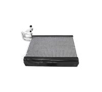 OVBNMO Condenseur de climatisation de remplacement, Compatible avec Nissan Sylphy Tiida Bluebird, noyau d'évaporateur AC 27280 3DN0A