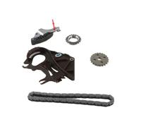 OVBNMO Kit de chaîne d'entraînement de pompe à huile moteur N46 N42 compatible avec BMW E90 E91 E93 E46 E84 X3 118i 120i 318i - Kit de remplacement et de révision for pièces automobiles