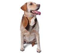 ovely Bandana pour chien et chat de petite et moyenne taille - Accessoire pour photo - Bandana triangulaire réglable et lavable - Motif beagle