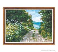 Oven SiuvinÄ-jimo rinkinys S938