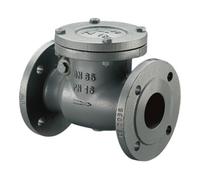 Oventrop Clapet anti-retour OV PN16 fonte grise DN150, brides selon DIN 2501 Quantité:1