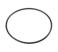 Oventrop OV Joint torique pour cuvette de filtre pour filtre à eau Quantité:1