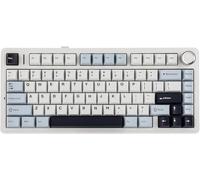 OVERCLOCK x Aula F75 Gasket Clavier mécanique à 75 %, sans fil/Bluetooth/USB-C, avec cinq couches de pad, bouton, RVB, batterie, NKRO (LEOBOG Reaper Switch, Light Blue)