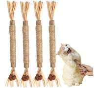 OVERJLDW Jouet à mâcher pour Chat en bâton de Vigne argentée Naturelle pour Le Nettoyage des Dents des Chatons, Augmente l'appétit, Calme l'anxiété du Chat, Jouets pour Chats d'intérieur