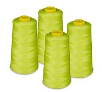 Overlockgarn Set de 4 Bobines de Fils à Coudre 2700 mètres - Bobine/Polyester 100% / 40S/2 / à Surjeter/Machine à Coudre/Couture à la Main (202 Vert Clair) Lialina®