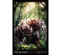Overlord, Vol. 15 (light novel)