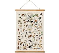 Ovfovy Affiche d'insectes vintage, esthétique rustique de chambre, impressions d'art mural rétro sans décoloration, imprimées sur lin avec cadres en bois, prêtes à être accrochées
