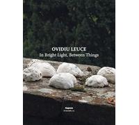 Ovidiu Leuce. In bright light, between things. Ediz. italiana e inglese
