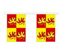 Owain Glyndwr Guirlande de fanions en polyester 6 m FlagSuperstore