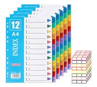 OWill Lot de 5 Intercalaires de Classement A4 12 Onglets Organiseur de Classeurs + 5 Feuilles d'Étiquettes Adhésives Colorées pour Organisation Multicatégories, Plastique Page d'indexation