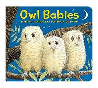 Owl Babies