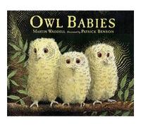 Owl Babies Big Book by Martin Waddell & Illustrated by Patrick Benson Martin Waddell (Auteur)