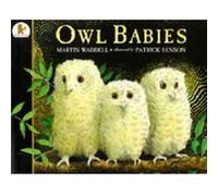 Owl Babies by Martin Waddell Waddell, Martin (Auteur)
