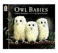 Owl Babies Martin Waddell (Auteur)