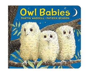Owl Babies Oversized Board Book