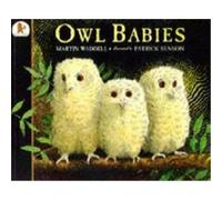 Owl Babies Waddell, Martin (Auteur)