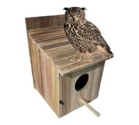 Owl Boîtes pour extérieur, abri en bois décoratif résistant aux intempéries | Abri à oiseaux de jardin - pour Finch Hummingbird extérieur jardin balcon patio cour arrière-cour 14 x 16,69 x 8,66 pouces