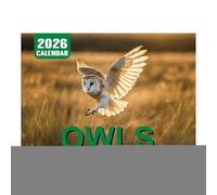 Owl Calendar 2026, 12-Month Wall Planner, 11.22x8.27 Inches January to December Layout, Cute Animal Pattern Design for Scheduling and Planning in Workplace, School, Gym, and Home Use