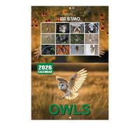 Owl Calendar, 2026 Animal Calendar, Monthly Wall Planner, Colorful Owl Pattern, Easy Scheduling Layout, Perfect for Workplace School Gym, 11.22x8.27 Inches, Multicolor, 1pc