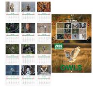 Owl Calendar 2026, Wall Monthly Planner, Time Management Chart, Ruled Blocks Layout, Decorative Design, Easy Scheduling, Goal Tracking, Perfect for Office, To-Do Lists, Holiday Planning