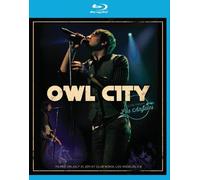 Owl City
