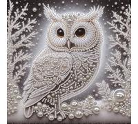 Owl Kit de Peinture par Numéros 5D Diamant DIY Forme Spéciale pour Adultes Décoration Maison 30x30cm