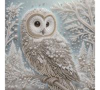 Owl Kit de Peinture par Numéros 5D Diamant DIY Forme Spéciale pour Adultes Décoration Maison 30x30cm