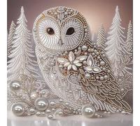 Owl Kit de Peinture par Numéros 5D Diamant DIY Forme Spéciale pour Adultes Décoration Maison 30x30cm
