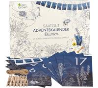 Own Grown Calendrier de l'Avent - Semences de Fleurs - 1 pcs