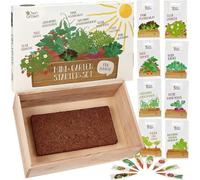 Own Grown Starter-Kit "Mini-Jardin" pour les Familles - 1 kit