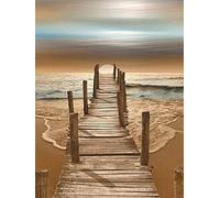 OWN4B Kit de broderie au point de croix estampé, motif imprimé pont au bord de la mer 11CT 36,1 x 46 cm (pont)