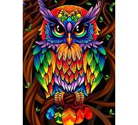 OWN4B Kit de broderie au point de croix estampillé, motif imprimé hibou coloré 11CT 36,1 x 46 cm (chouette)