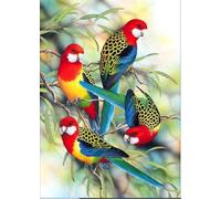 OWN4B Kit de broderie au point de croix estampillé, motif imprimé oiseaux sur branche 11CT 36,1 x 46 cm (oiseaux)