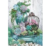 OWN4B Kit de broderie au point de croix estampillé, plantes succulentes et cage 11CT 36,1 x 46 cm
