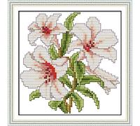 OWN4B Kit de broderie au point de croix Motif imprimé Fleur du bonheur 11 ct 21,1 x 21,1 cm