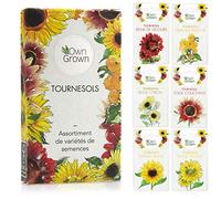 OwnGrown - Kit de Graines de Tournesol et de Fleurs d'Extérieur - Set de Jardinage de Qualité Supérieure