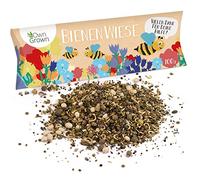 OwnGrown Lot de 100 g de graines d'abeilles colorées pour saule d'abeilles, abeilles et bourdons magnétiques - Mélange de graines de fleurs conviviales pour les abeilles et pluriannuelles