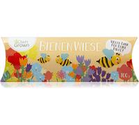 OwnGrown Prairie pour abeilles - 100 g de mélange de graines de fleurs pour 50-100 m² de prairie