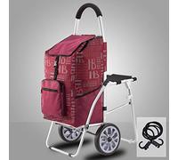 OWOHYG Hand Trucks Shopping Cart with Seat, Foldable and Portable, Trolley Cart for The Elderly, Can Sit in a Grocery Cart, Climb Stairs with a Stool Cart, Portable Heavy-Duty Trolleys/D